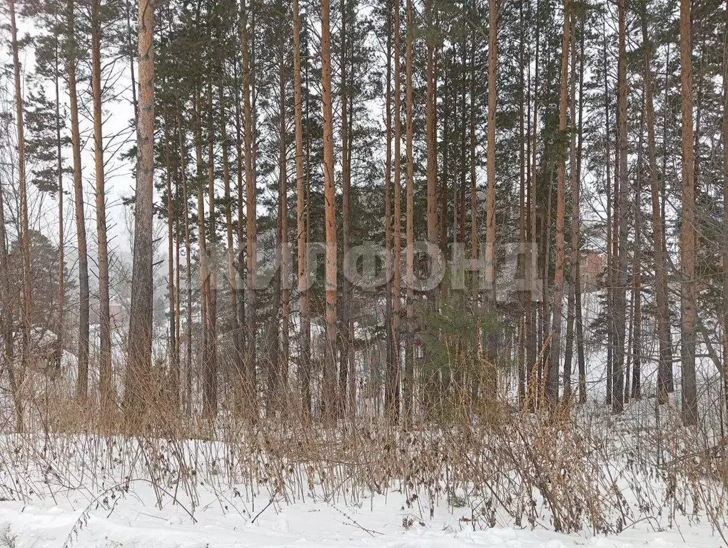 Участок в Томская область, Томск Наука мкр,  (9.5 сот.) - Фото 0