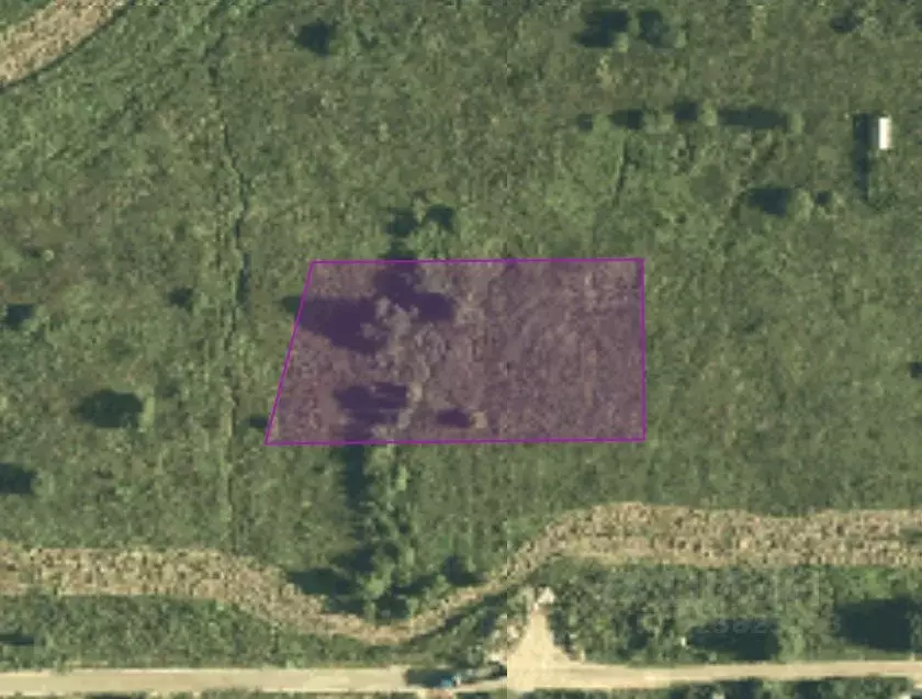 Участок в Москва д. Кузнецово, ул. Березовая (19.56 сот.) - Фото 0