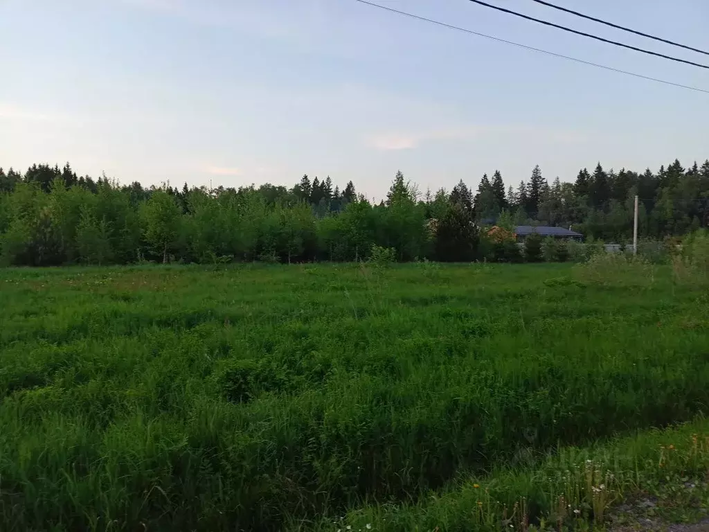 Участок в Московская область, Наро-Фоминский городской округ, Парус дп ... - Фото 2