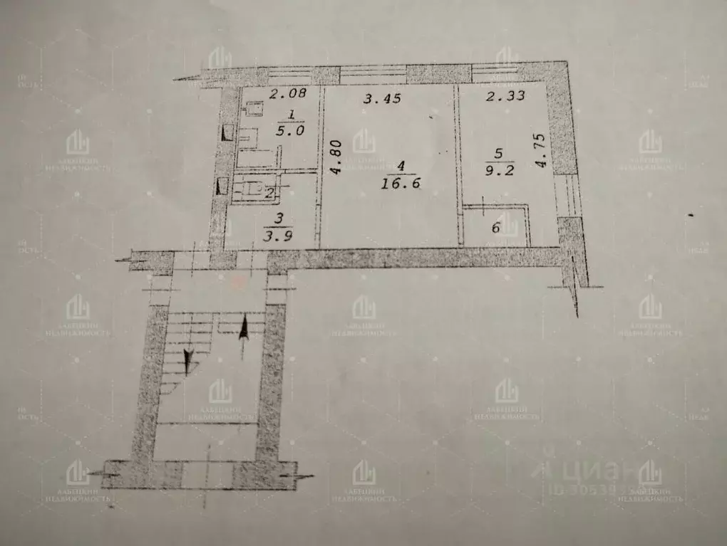 2-к кв. Новосибирская область, Новосибирск ул. Якушева, 266 (37.5 м) - Фото 1