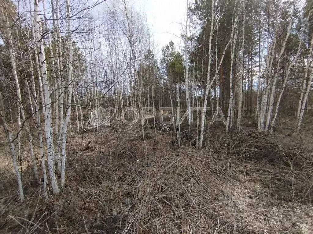 Участок в Тюменская область, Нижнетавдинский муниципальный округ, ... - Фото 2