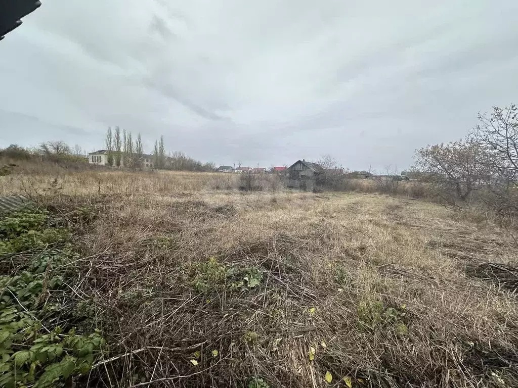 Участок в Воронежская область, Борисоглебский городской округ, с. ... - Фото 0