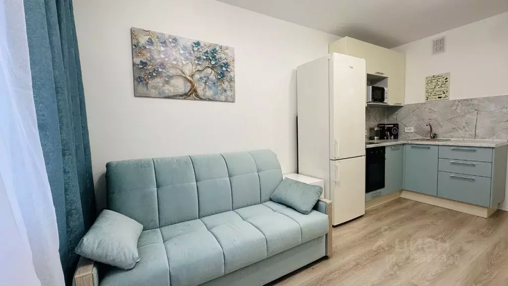 Студия Санкт-Петербург ул. Пахомовская, 12к2 (20.5 м) - Фото 2