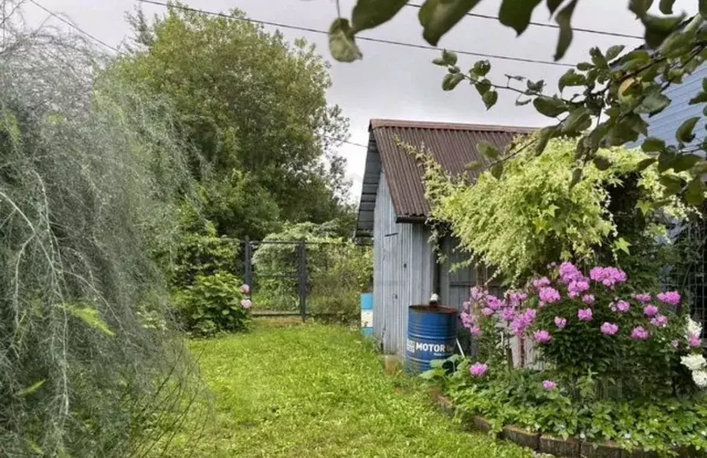 Участок в Калужская область, Город Калуга городской округ, д. Шопино ... - Фото 1