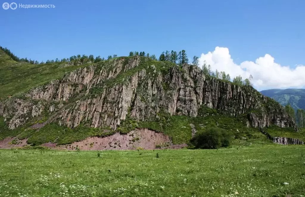 Участок в Усть-Коксинский район, село Тюнгур (1270.75 м) - Фото 1