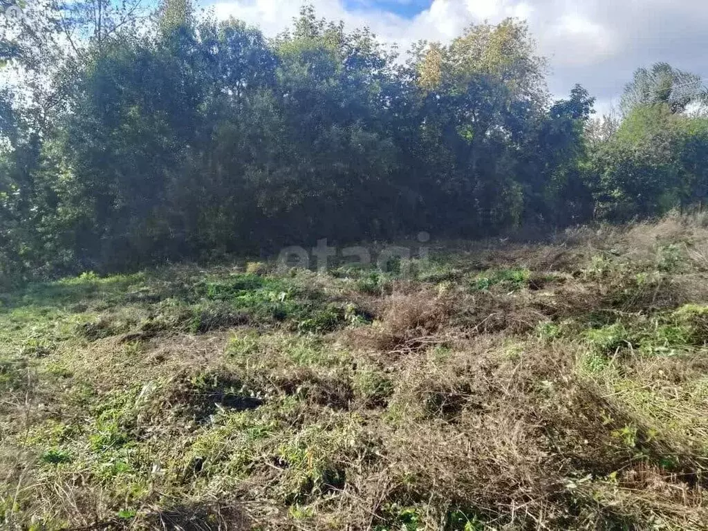 Участок в Тюмень, садовое товарищество Наука, Ягодная улица (5 м) - Фото 2