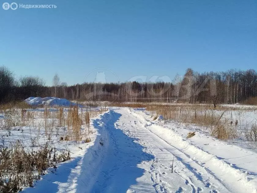 Участок в Тюмень, КП Свои (4 м) - Фото 0