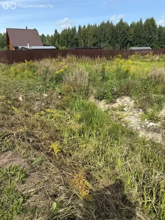 Участок в Приладожское городское поселение, садоводческое ... - Фото 2