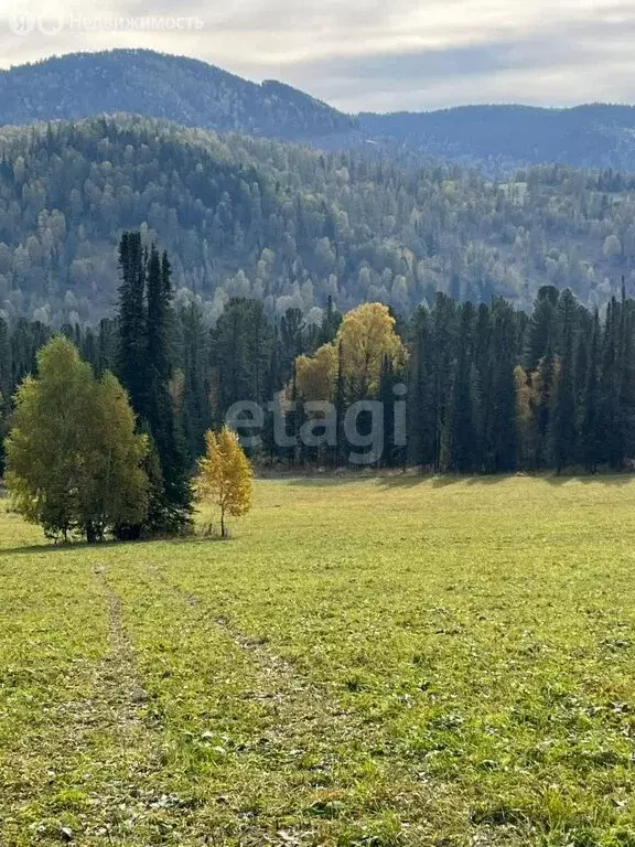 Участок в Чемальский район, село Нижний Куюм (11 м) - Фото 0