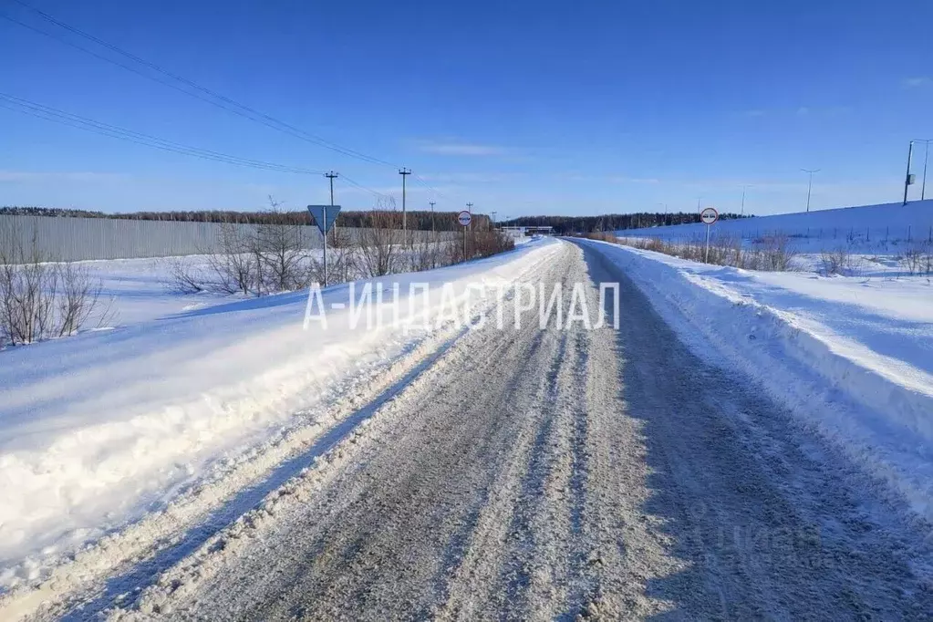 Участок в Московская область, Подольск городской округ, Василек СНТ ... - Фото 1