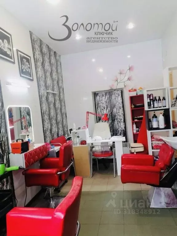 Помещение свободного назначения в Нижегородская область, Богородск ул. ... - Фото 1