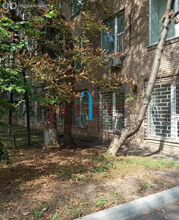 Помещение свободного назначения (23.7 м) - Фото 2