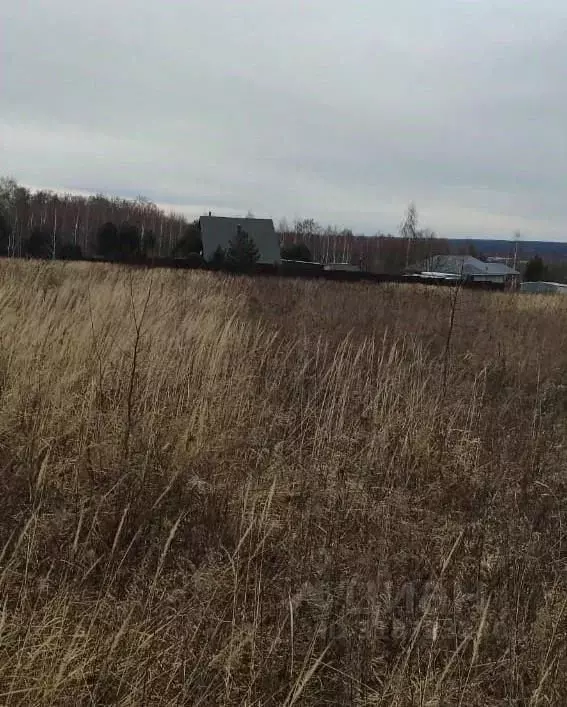 Участок в Московская область, Серпухов городской округ, д. Тульчино  ... - Фото 0