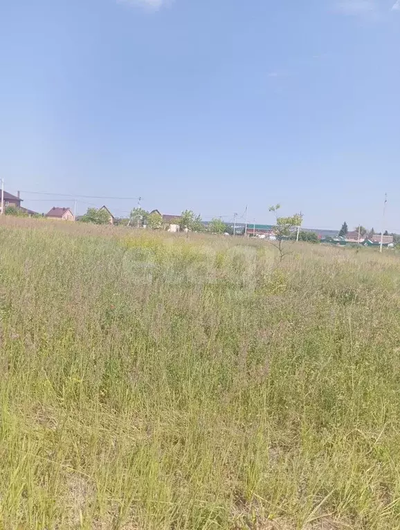 Участок в Ульяновская область, Ульяновск городской округ, с. Луговое ... - Фото 1