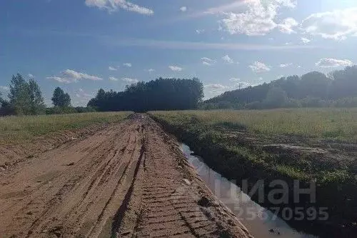 Участок в Новгородская область, Новгородский район, Ермолинское с/пос, ... - Фото 2