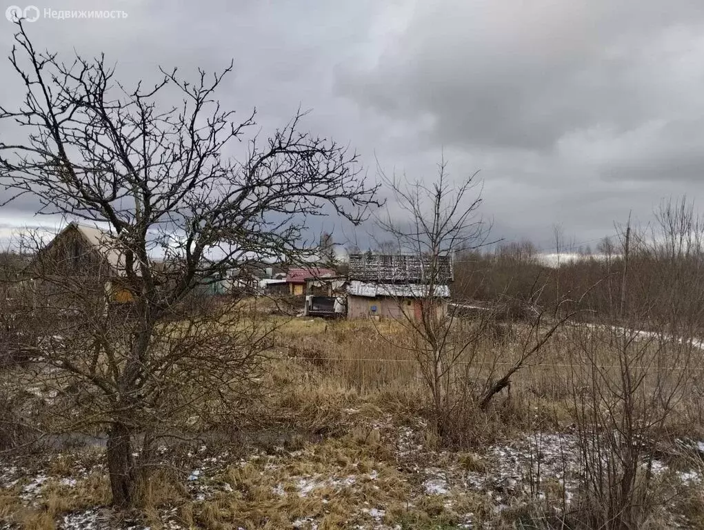 Участок в Новгородская область, Старая Русса (12 м) - Фото 0