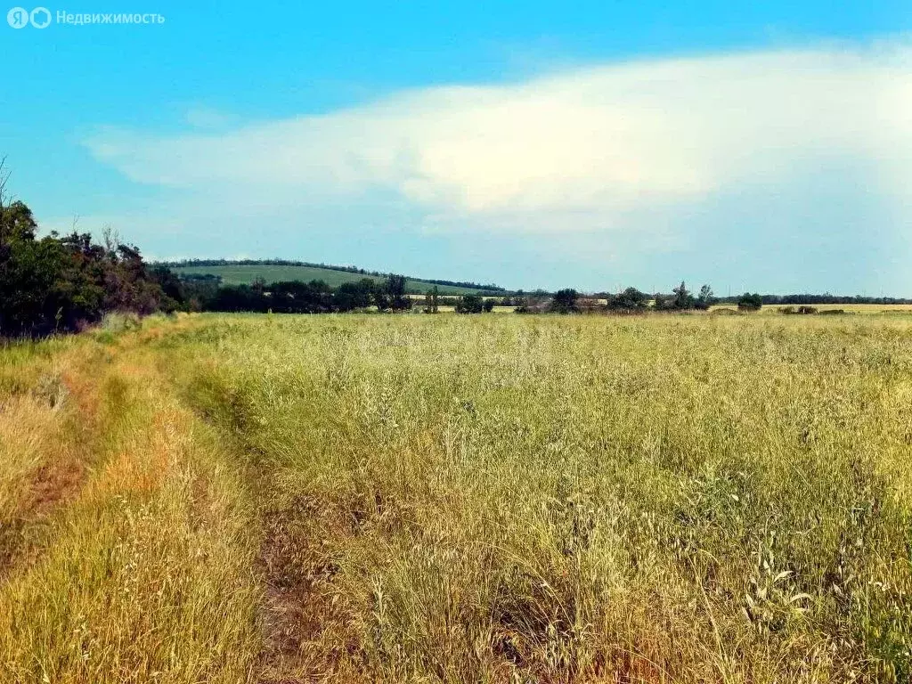 Участок в Краснодарский край, муниципальный округ Анапа, посёлок ... - Фото 1