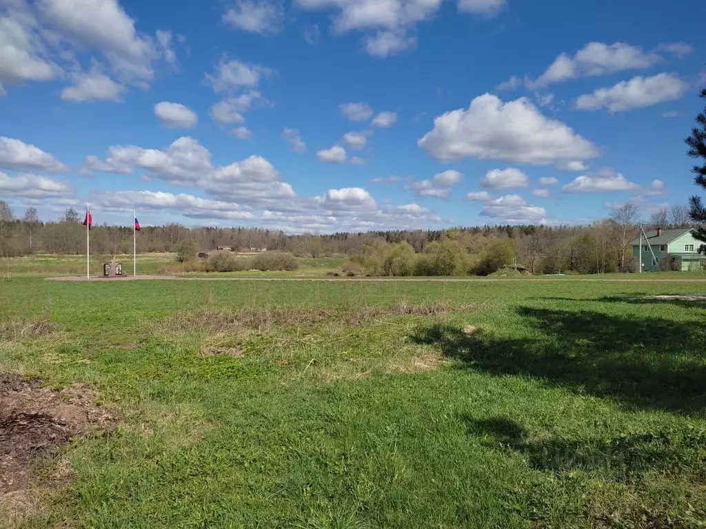 Участок в Ленинградская область, Гатчинский муниципальный округ, д. ... - Фото 2