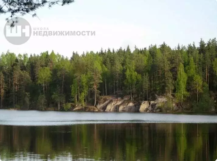 Участок в Приозерский район, Запорожское сельское поселение, деревня ... - Фото 0