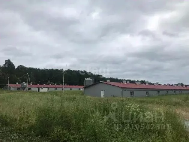 Склад в Калужская область, Юхновский район, Беляево с/пос, д. Беляево ... - Фото 1