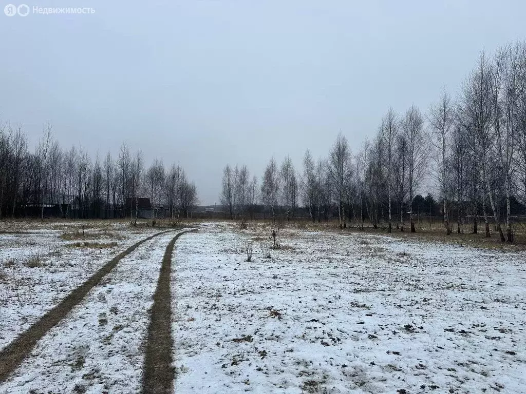 Участок в Раменский городской округ, деревня Агашкино (6 м) - Фото 1