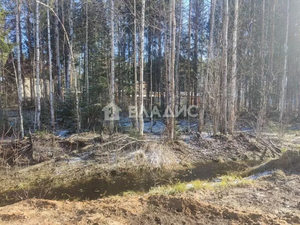 Участок в Коми, Сыктывдинский район, с. Выльгорт ул. Озерная 2-й ... - Фото 1