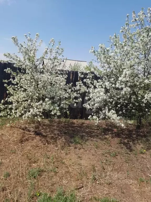Участок в Бурятия, Тарбагатайский район, Саянтуйское с/пос, с. Нижний ... - Фото 1