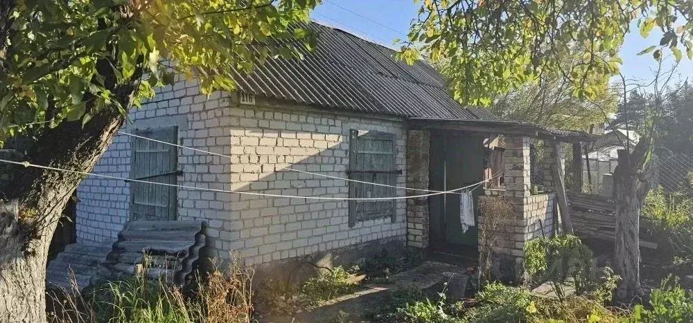 Дом в Брянская область, Брянск Рассвет садовое общество,  (23 м) - Фото 1