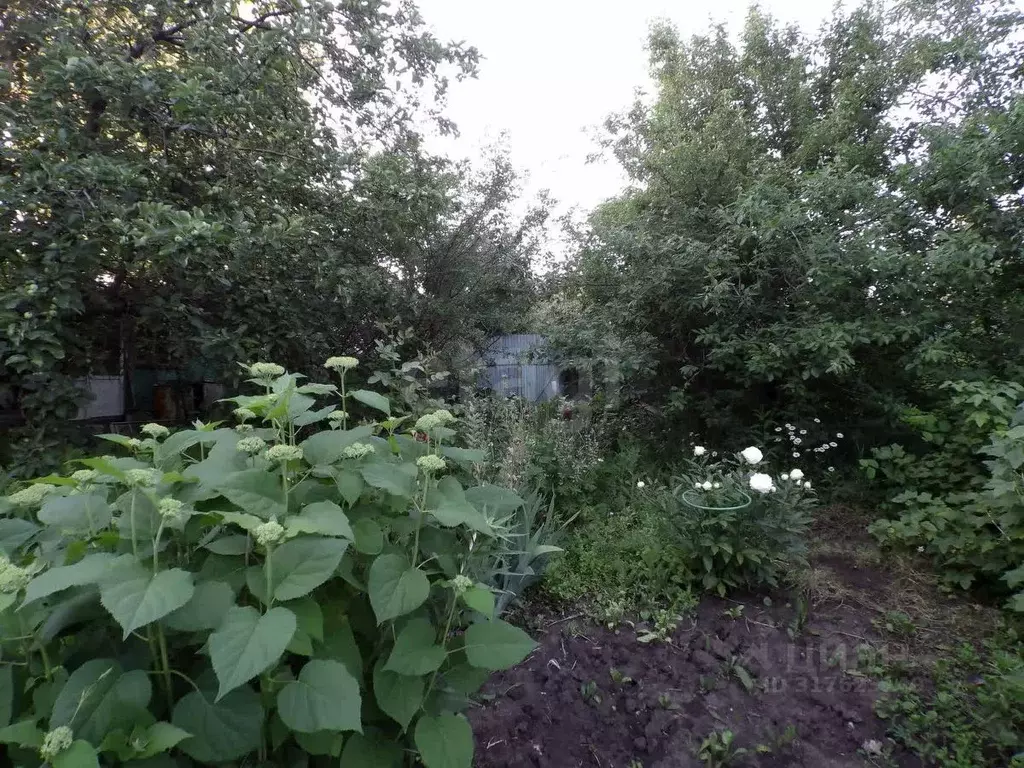 Участок в Самарская область, Волжский район, Воскресенка с/пос, ... - Фото 1