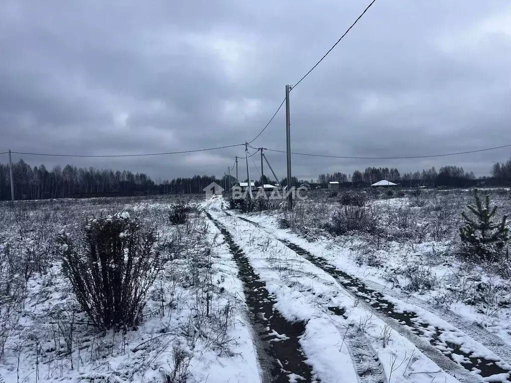 Участок в Нижегородская область, Балахнинский муниципальный округ, д. ... - Фото 1