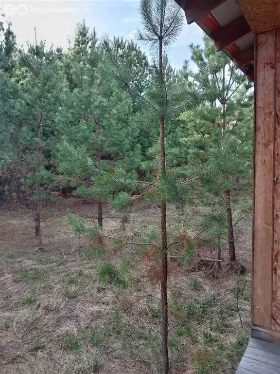 Дом в Челябинская область, Каслинский муниципальный округ, село ... - Фото 0