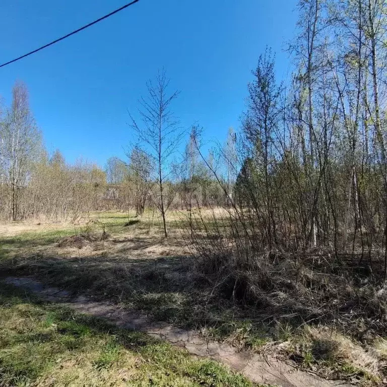 Участок в Вологодская область, Вологда Медик садоводческое ... - Фото 1
