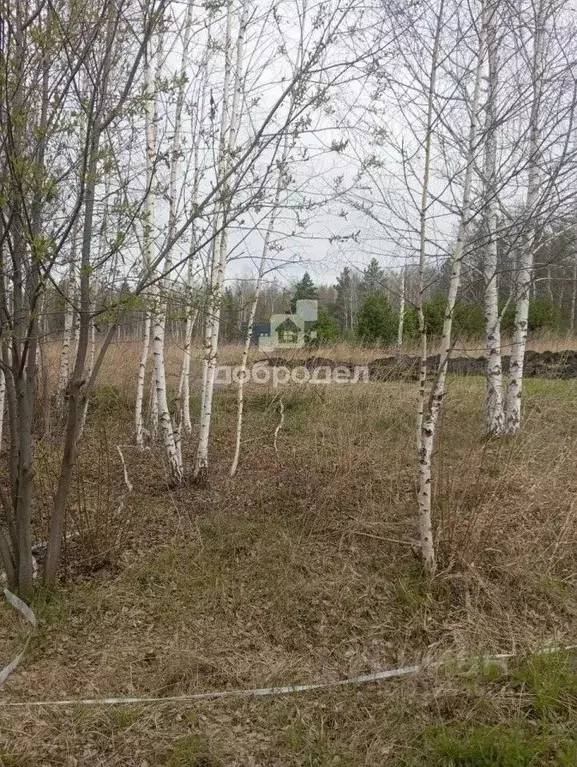 Участок в Свердловская область, Сысертский городской округ, пос. ... - Фото 1