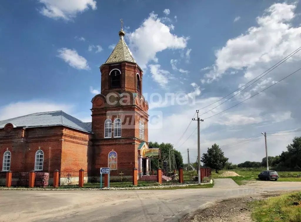 Участок в Липецкая область, Лебедянский район, Ольховский сельсовет, ... - Фото 2