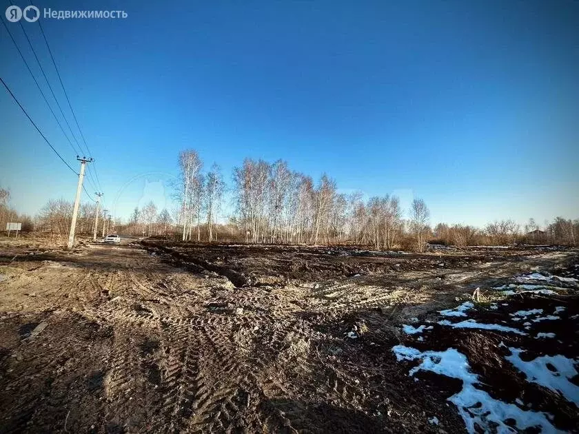 Участок в Нижнетавдинский район, дачный посёлок Сибирская Слобода (4 ... - Фото 0