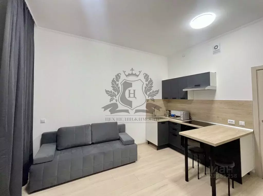 Студия Ленинградская область, Мурино Всеволожский район, просп. ... - Фото 1