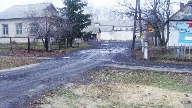 Помещение свободного назначения в Курская область, Касторенский район, ... - Фото 2