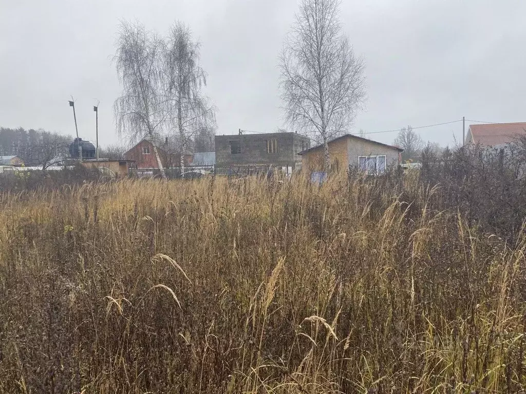 Участок в Московская область, Луховицы муниципальный округ, д. ... - Фото 2