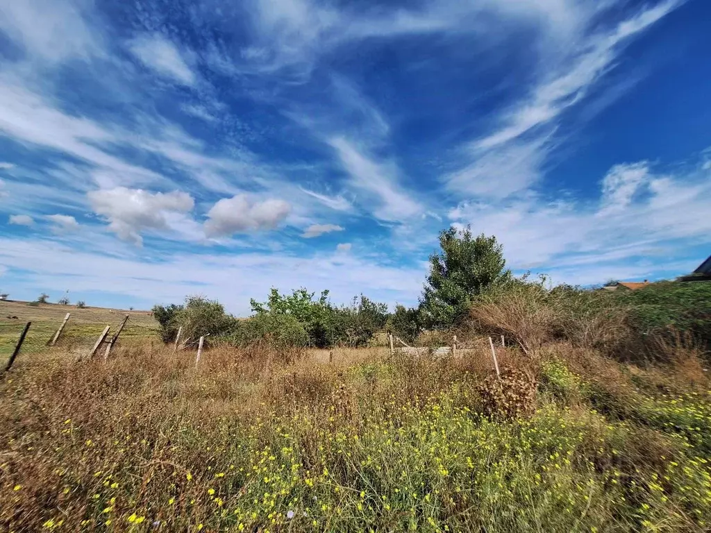 Участок в Крым, Сакский район, с. Ивановка ул. Берегулина (21.0 сот.) - Фото 2