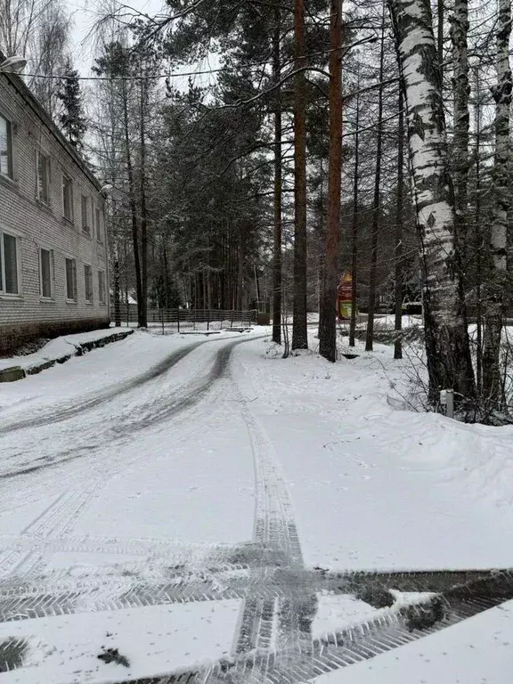 Помещение свободного назначения в Ленинградская область, Гатчинский ... - Фото 1