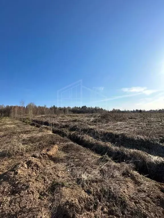 Участок в Владимирская область, Александровский район, Каринское ... - Фото 1