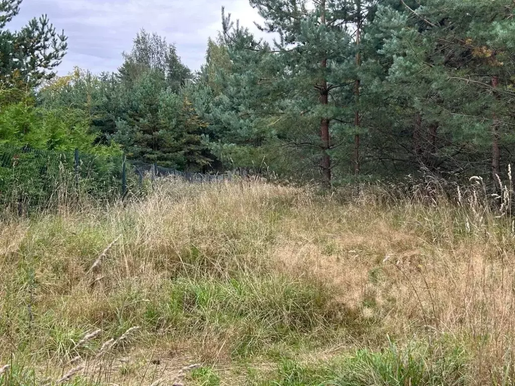 Участок в Ленинградская область, Выборгский район, Рощинское городское ... - Фото 2