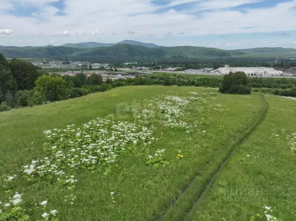Участок в Алтай, Майминский район, с. Майма  (8.0 сот.) - Фото 1