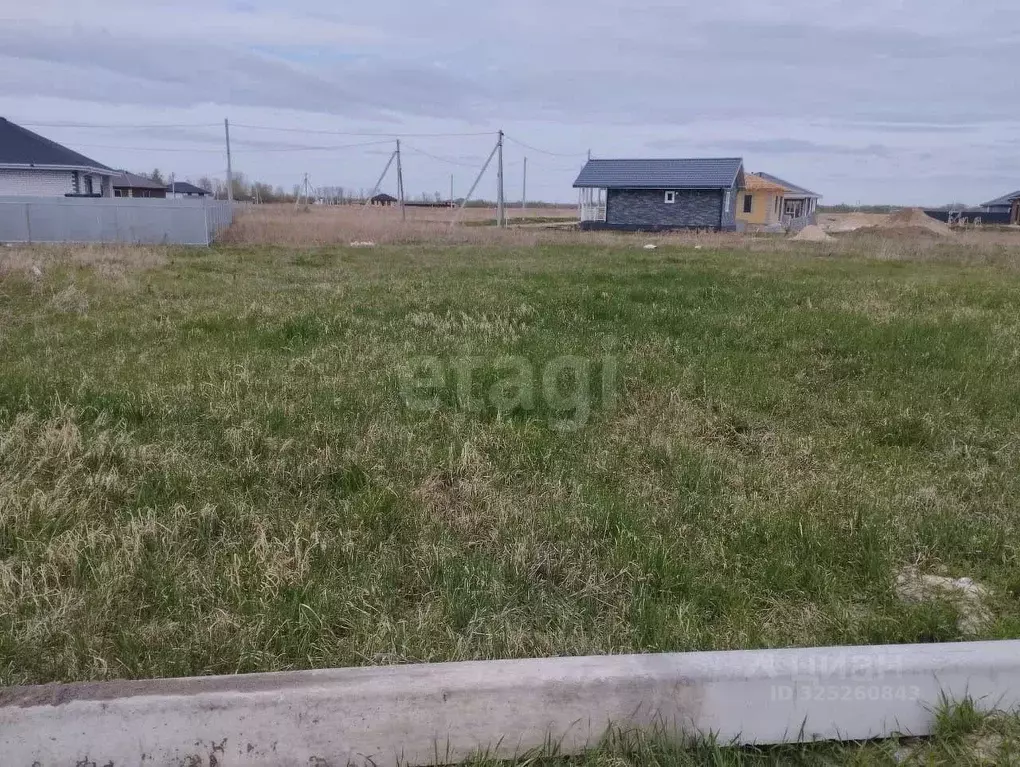 Участок в Тюменская область, Тюменский муниципальный округ, с. Чикча, ... - Фото 0