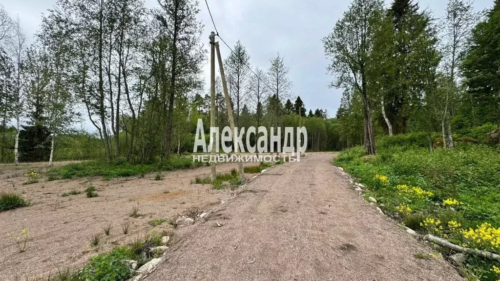 Участок в Ленинградская область, Приозерский район, Ларионовское ... - Фото 2