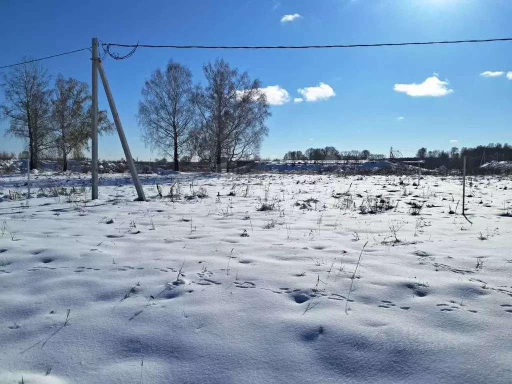 Участок в Новосибирская область, Мошковский район, пос. Октябрьский ... - Фото 2