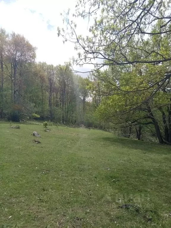 Участок в Карачаево-Черкесия, Теберда Карачаевский городской округ, ... - Фото 2