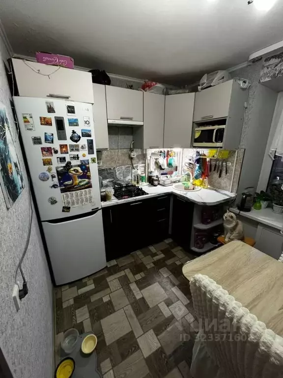 1-к кв. Пермский край, Кунгур ул. Ильина, 26 (34.1 м) - Фото 2