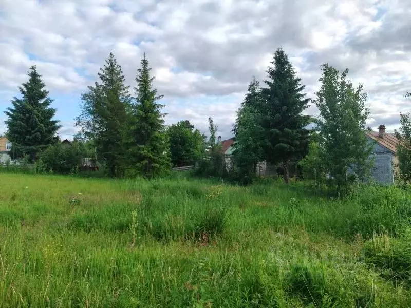 Участок в Ленинградская область, Приозерский район, Сосновское с/пос, ... - Фото 1