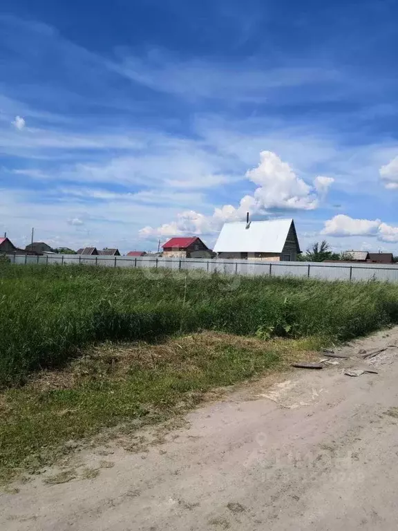 Участок в Тюменская область, Тюмень Липовый Остров СНТ, ул. 8-я ... - Фото 1
